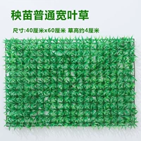 Молоко белое обычная широкая листовая трава