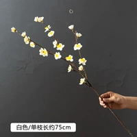 Retro Xiaomei (Белоснежка)