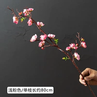 Китайская Уиллоу Слива Цветение (светло -розовый)