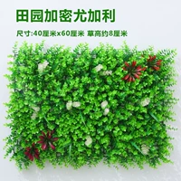 Серая сельская местность Евали Цао