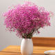 Gypsophila dried flower bouquet living room decorations dried flowers decorative ornaments Yunnan natural high-end dried flowers high-end real flowers