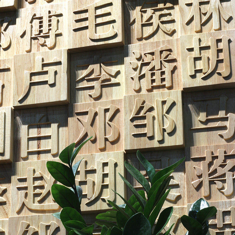 Hundreds of people surnamed cultural solid wood mosaic Yin and Yang Carved Wooden Characters Background Wall Hanging Painting Wall Decoration Live Word TV Xuan Guan 