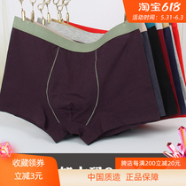 3 fattens underwear Gats men extra-large pure cotton loose 4-corner flat angle 250 catty than modell cotton