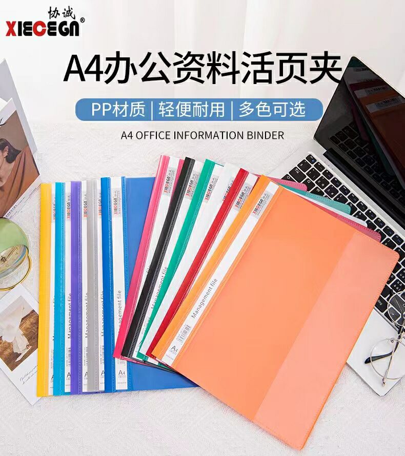 12 A4 transparent colored binding two holes clip perforated folder Living page clip 320 Report clip