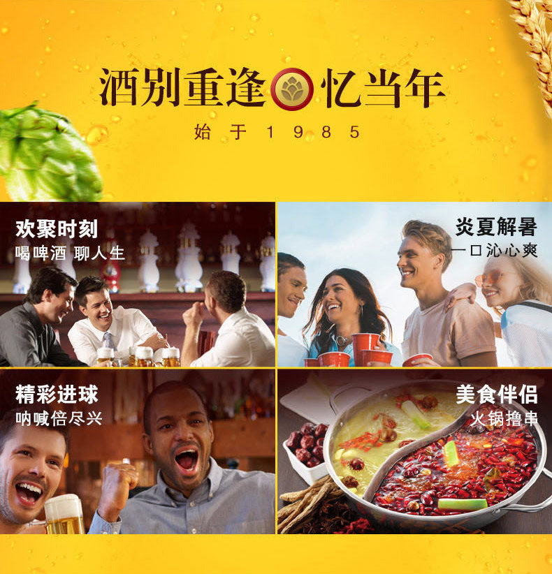 珠江啤酒 原麦老珠江 12度330mL*48罐 经典超够味 图8