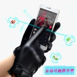 Playboy, мужские демисезонные утепленные удерживающие тепло ветрозащитные перчатки