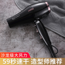 Golf High Power Hair Dry Blue Thermostat Multi-gear Adjusting Hair Negative Ion Lightweight Home Hairdryer