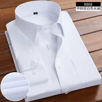 (Длинные рукава) Плагон белый белый 29,9