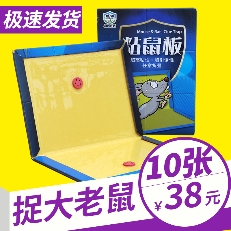 Livable strong sticky mouse board household mousetrap indoor odorless rodent extermination restaurant office to catch rats and mice stickers