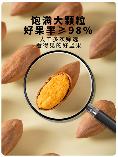 Torreya 2025 Neuankömmling Maple Bridge Xiangfei große Samen Zhuji Spezialität Nüsse alter Baum Xiangfei Trockenfrüchte Flagship-Store