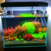 Grass tank water View home water plant maintenance