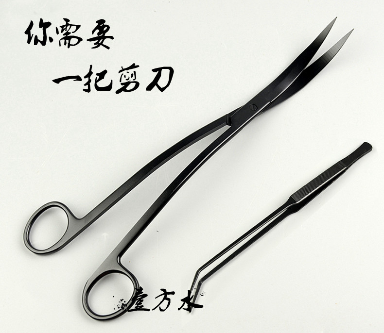 Black matte black matte black wave scissors tweezers Water grass scissors clear water wind and the same stainless steel scissors