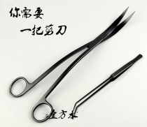 Black matte black matte black wave scissors tweezers water grass scissors clear water wind and same stainless steel scissors