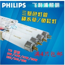  Philips three-primary color energy-saving double-ended fluorescent tube T5 three-primary color fluorescent lamp tube TL-5 14W21W28W