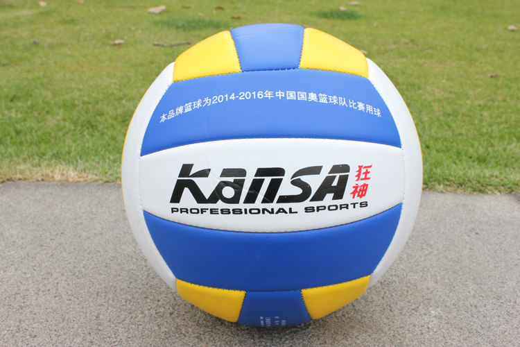 Ballon de volley-ball - Ref 2010678 Image 33