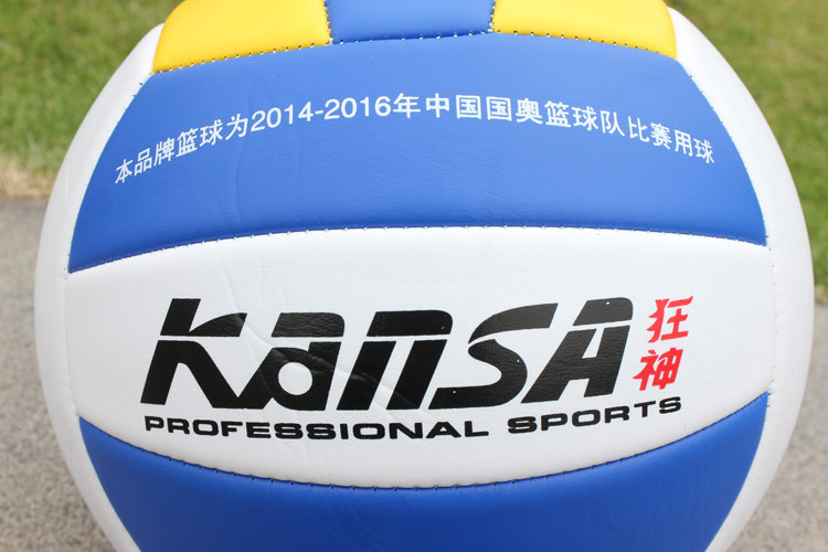Ballon de volley-ball - Ref 2010678 Image 40