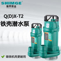 New Territories Pump iron shell T2 submersible pump 220V 380v irrigation agricultural household single-phase three-phase pump well
