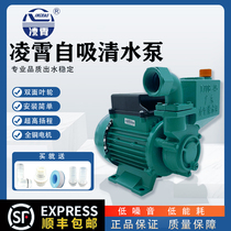 Guangdong Lingxiao water pump self-priming pump water pump automatic household booster pump well water pump 1ZDB-35B