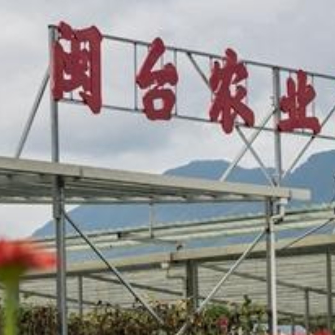 闽台农业的LOGO