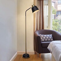 Nordic Living Room Floor Lights Red Bedroom Studio Personal Light Luxury Creative Modern in Floor Light Light