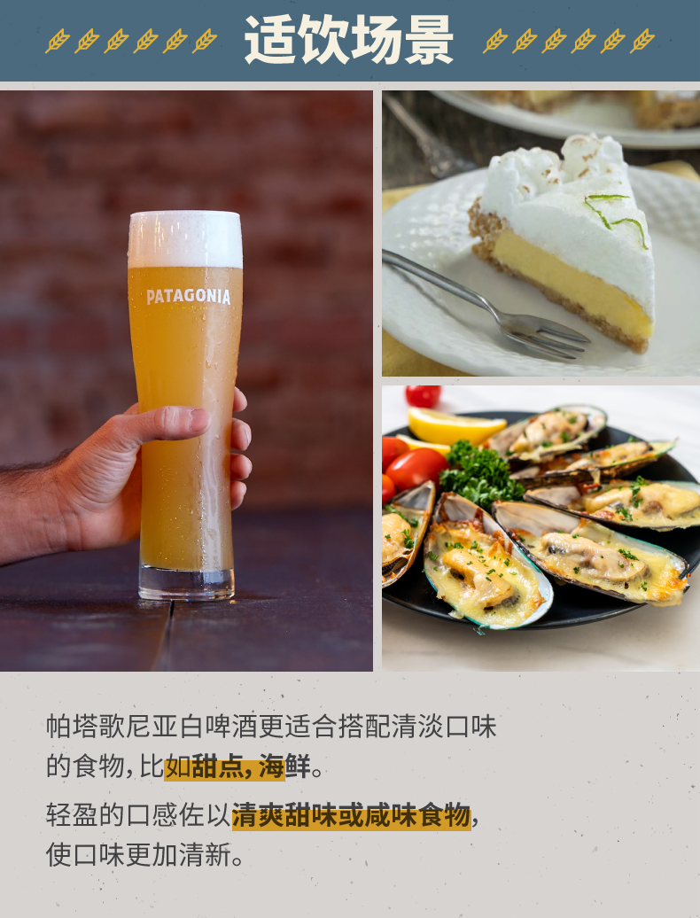 百威精酿 阿根廷进口 帕塔歌尼亚 白啤酒 473ml*6听 图5