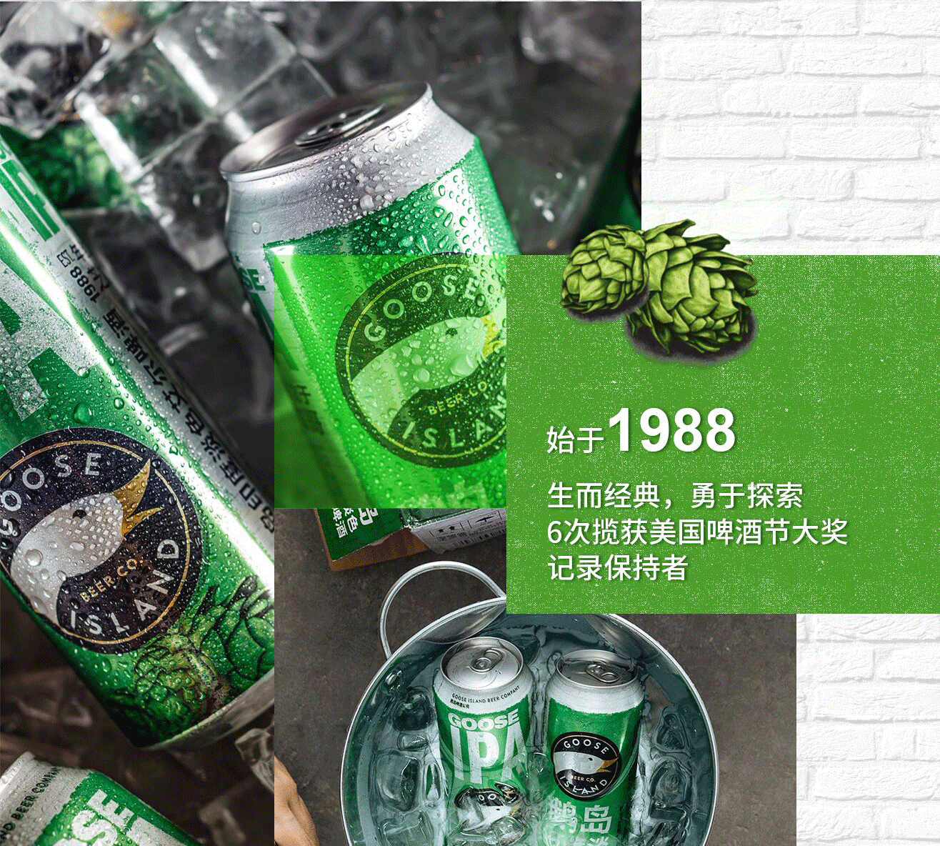 百威英博 鹅岛 印度淡色艾尔 精酿啤酒 500ml*6罐装 图2