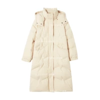 Нежный гусь желто-пятнистый