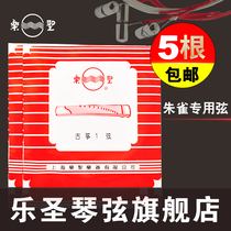 Le Saint Gukite String Zhu Finch Customized General String Ordinary String Store