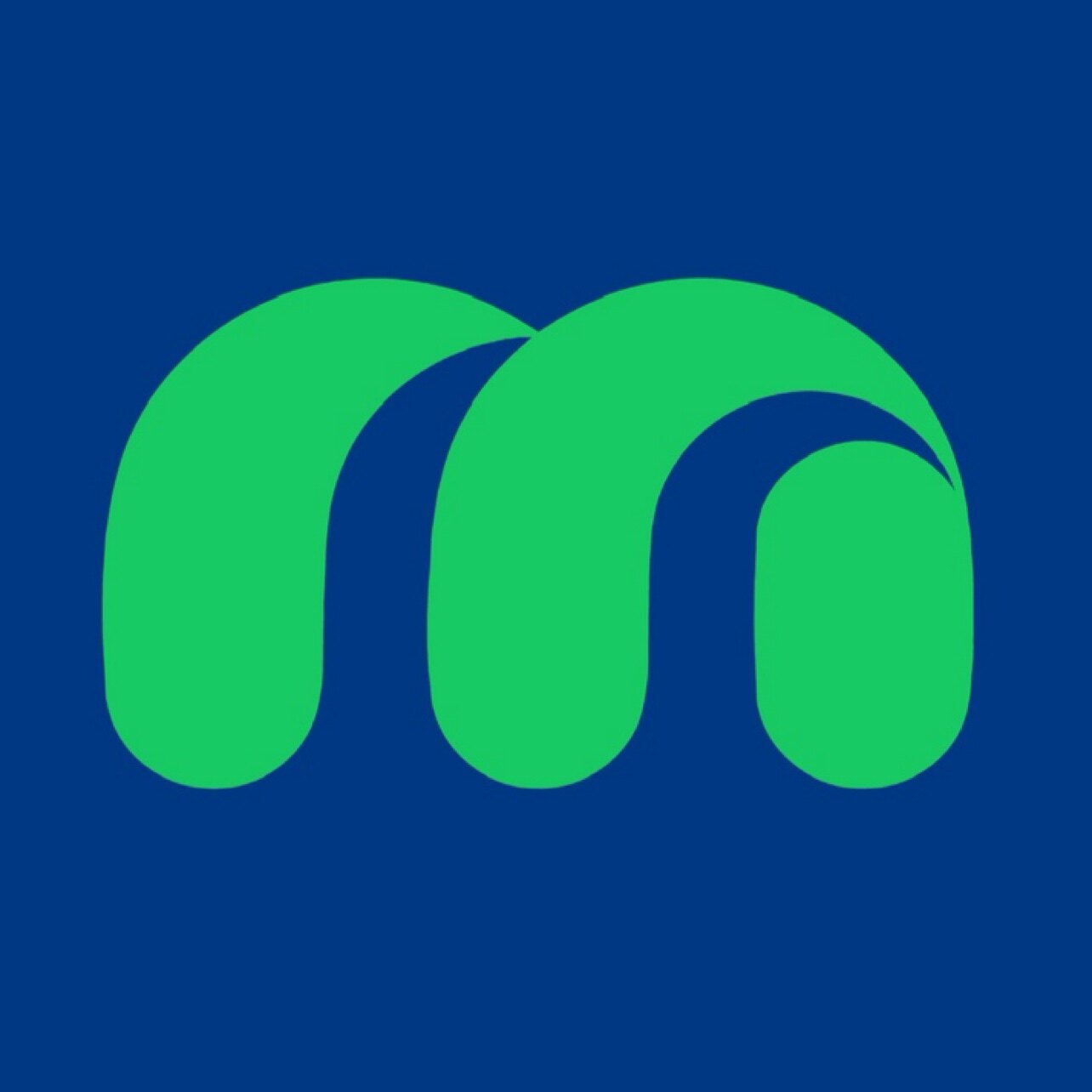镜子动物园MIRRORZOO官方企业店