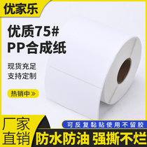 pp self-adhesive synthetic paper dumb surface 80 70 60 50 40 30 20 waterproof PET removable synthetic printing paper
