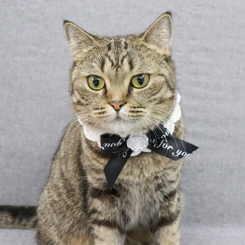 Плетеный небольшой шарф ручной работы, чокер, слюнявчик, нагрудник, в стиле Шанель