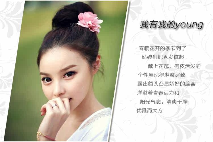 Extension cheveux - Chignon - Ref 248999 Image 29