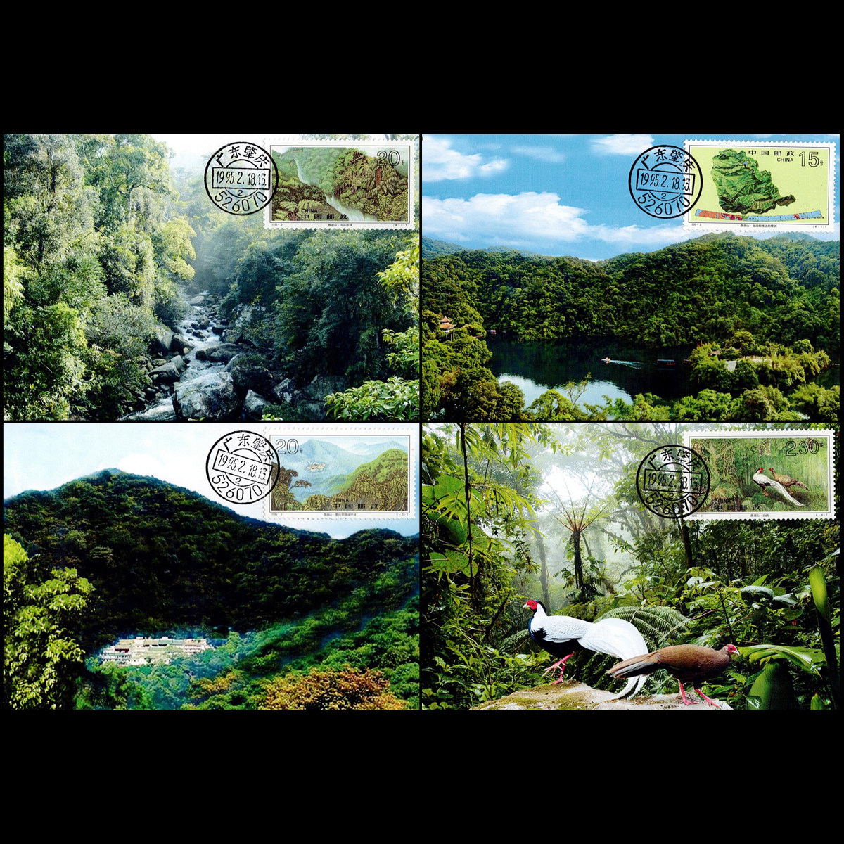 1995-3 Dinghushan Stamp Limit Postcard