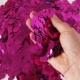 1 см Rose Red Seerfins 500G