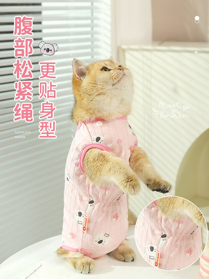猫咪衣服防掉毛夏季薄款的布偶猫小猫宠物母猫纯棉猫猫夏天绝育衣