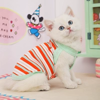 Модный жилет