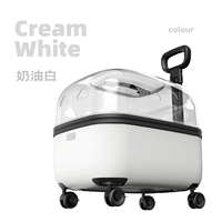 Сливочный белый