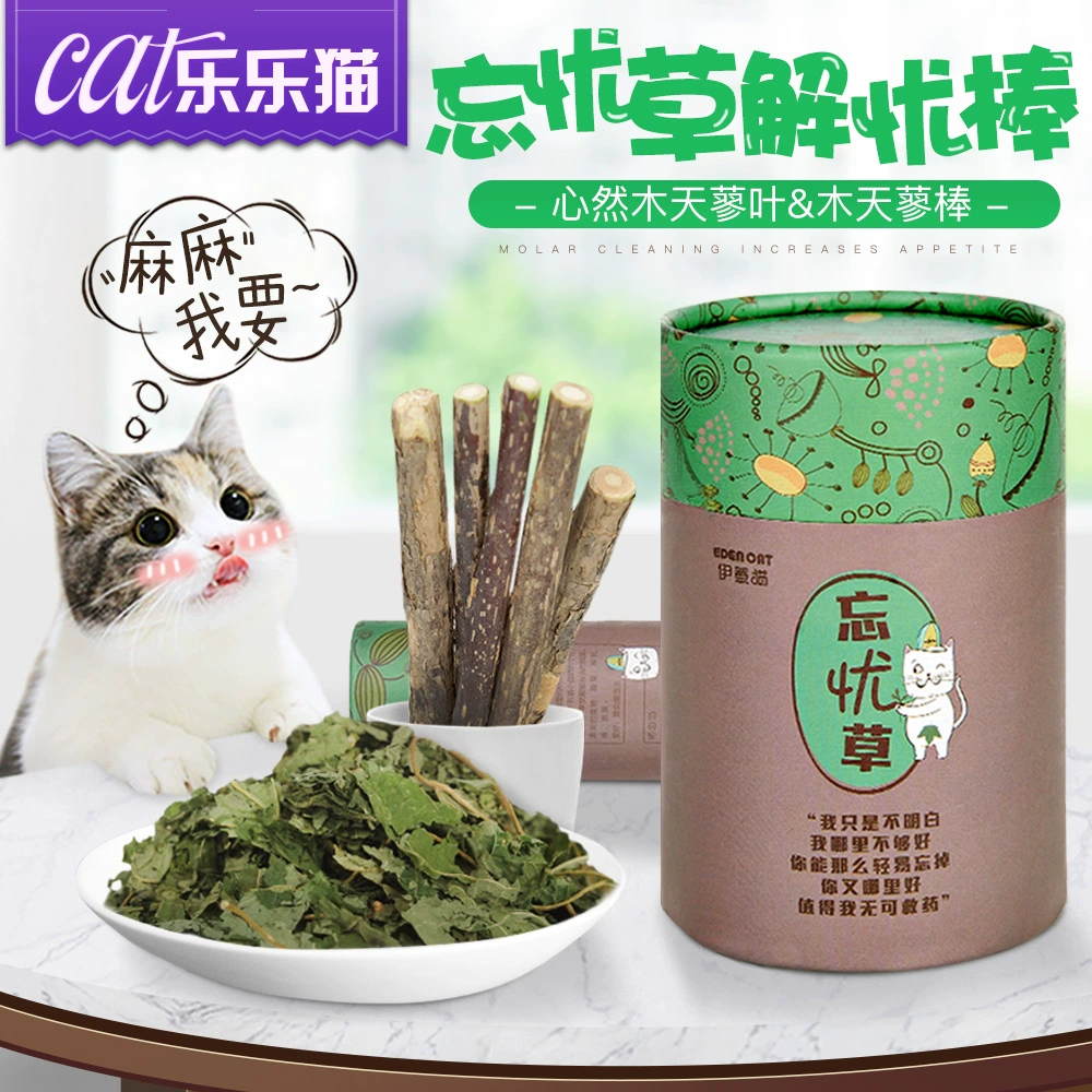 Xinran Pet Cat Mutian Polygonum Răng làm giảm căng thẳng Đồ ăn vặt cho mèo Jinjila Mutian Polygonum Pet Cat Snacks - Đồ ăn nhẹ cho mèo