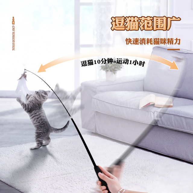 cat toys funny cat stick long pole retractable feather replacement head rod fishing kittens and young cats energy supply supply