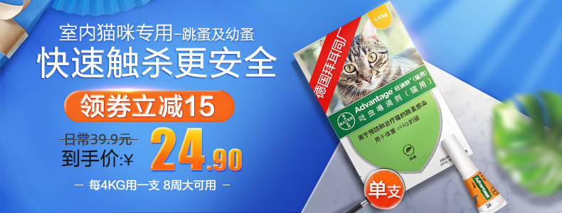 Wangdi Jing Ling Tuncing Term Terminal 15