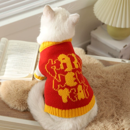 Удерживающий тепло зимний шнурок-держатель, демисезонный свитер