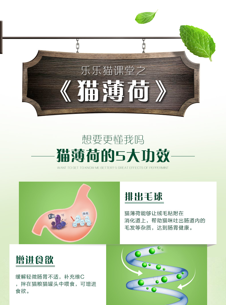 Bột catnip Lá cây mèo phấn khích Mèo cỏ mèo mèo ăn nhẹ mèo đi đến bóng tóc để giúp tiêu hóa catnip - Đồ ăn nhẹ cho mèo thức ăn thú cưng