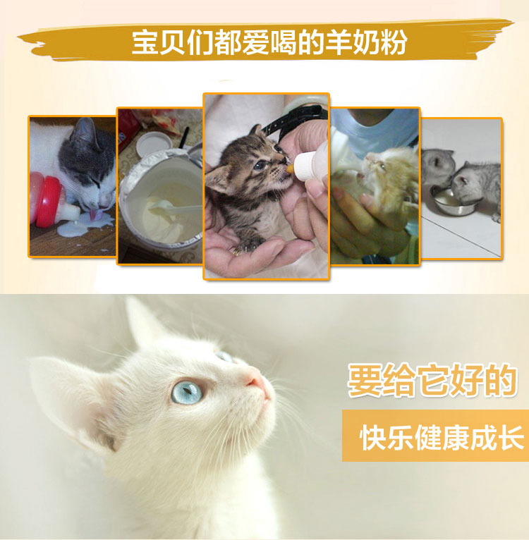 Cat sữa bột mèo con sơ sinh mèo con sơ sinh sữa dê sữa bột dinh dưỡng mèo sữa mèo đặc biệt vật nuôi dê sữa bột - Cat / Dog Health bổ sung sữa bột cho mèo con