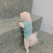 THE PAWS Milk Bag Thyme original summer breathable little vest 4 Color air conditioning Dogs Summer Clothes