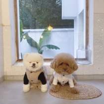 THE PAWS Milk Bag Thyme puppies Small collar cotton clothes New Year Warsuit dogs cotton padded jacket Pets Warm Coats