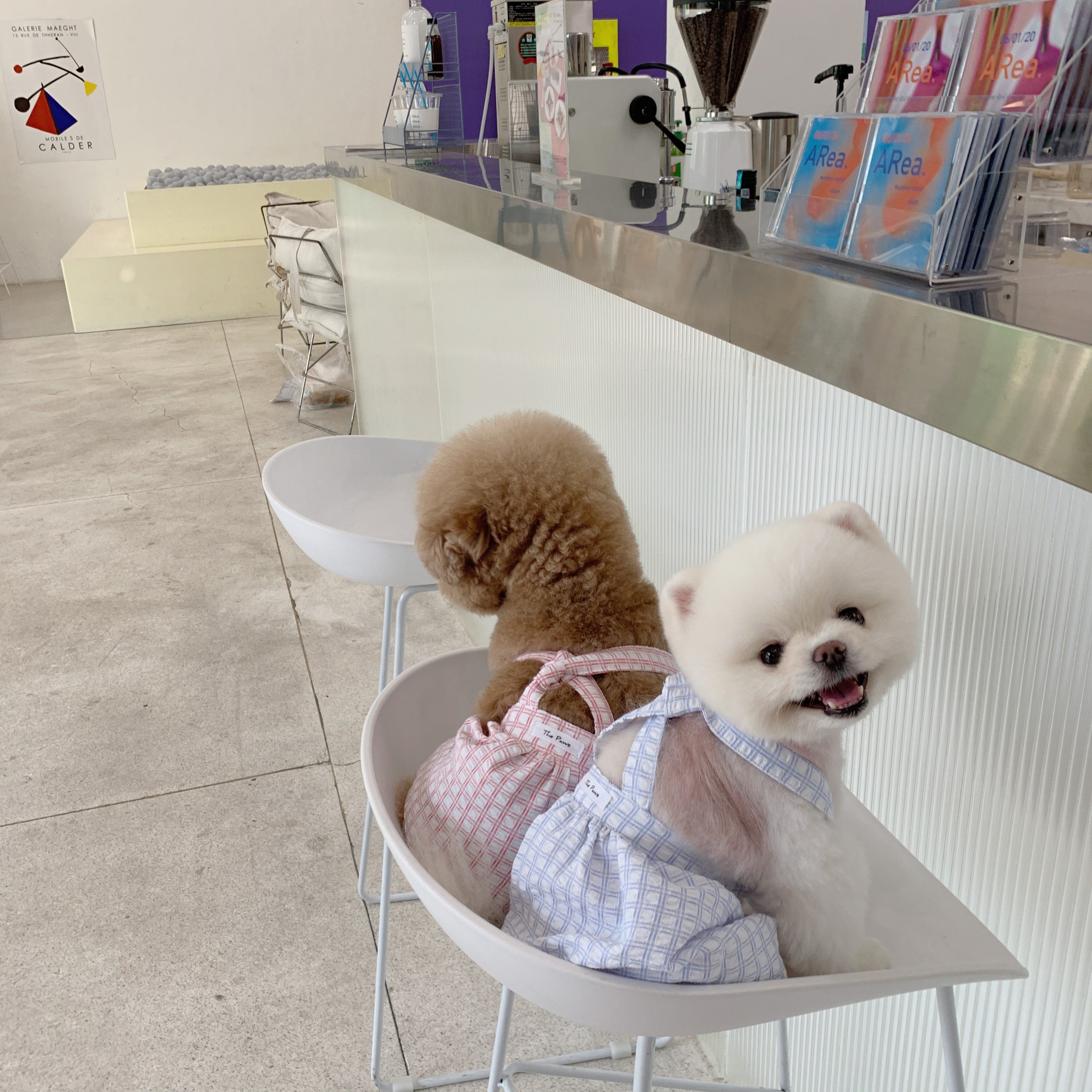 THE PAWS Milk Bag Belle Stick Pet Pants Dog Summer Cool Breathable Overalls Air Conditioning Clothes