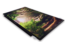 11 6 inches LED notebook LCD naked screen HD wide viewing angle IPS DIY naked screen EDP 1080p