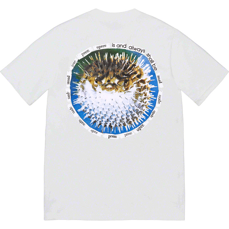 23Ss Blowfish Tee Cartoon Small Fish Pufferfish Spiral Bogo Short-Sleeved Men's and Women's Trendyy Half-Sleeved t