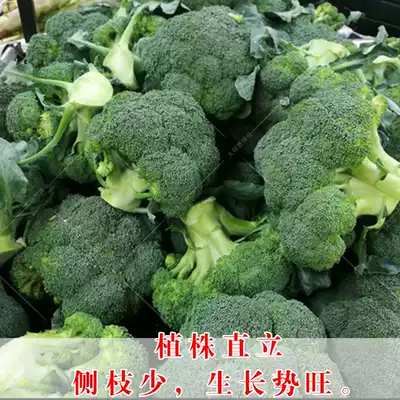 1odgzdzaxdlh M 1odgzdzaxdlh M