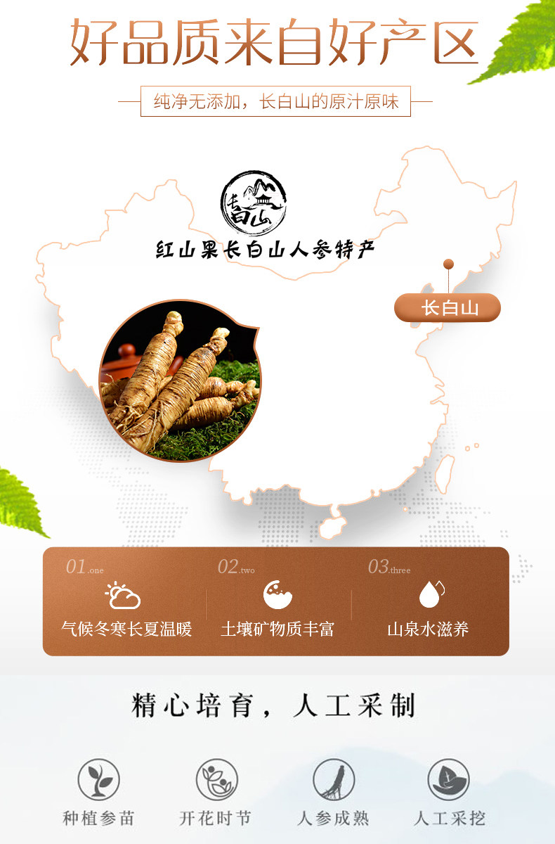Ginseng Honey Slices (Panax ginseng) — Fresh Changbai Mountain Ginseng in Honey, 160g specifications